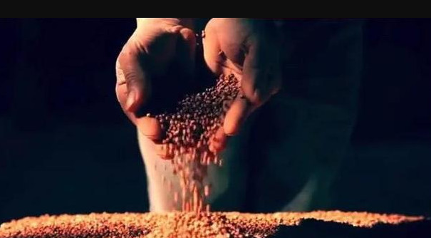 酱香酒知识分享每天一杯酱香酒,养生健康每一天！