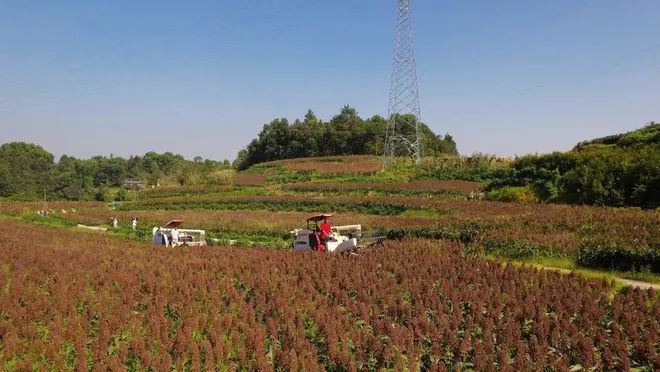 如何品酱香型白酒文化？明白这几点很重要