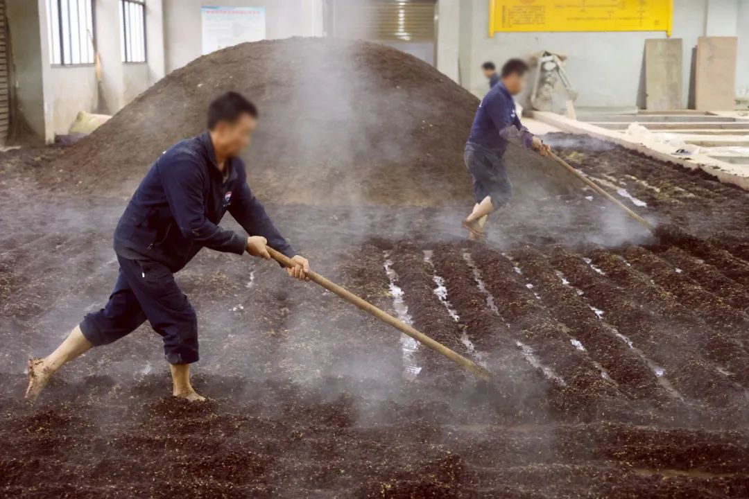 都说喝酒伤身，为何酱酒却是公认的“养身”呢？