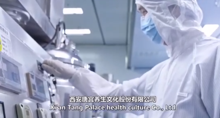 《唐宫秘谱》宣传片